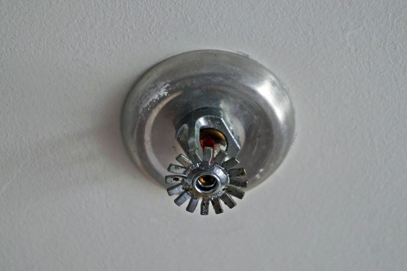 Fire Sprinklers Service